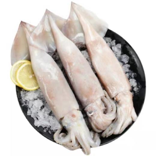 【顺丰包邮】青岛大鱿鱼—新鲜冷冻4斤装 商品图1