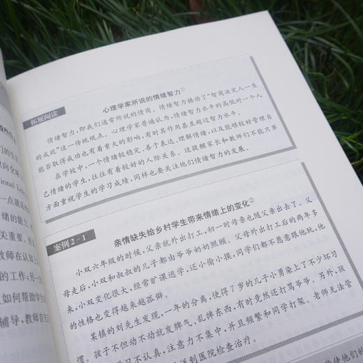 乡村学生心理辅导 乡村教育培训系列 师生心理健康维护乡村学生常见心理问题 悦纳自我调控情绪 教师培训 商品图3