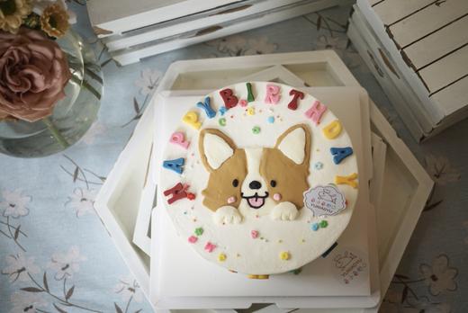 手绘小柯基 商品图0