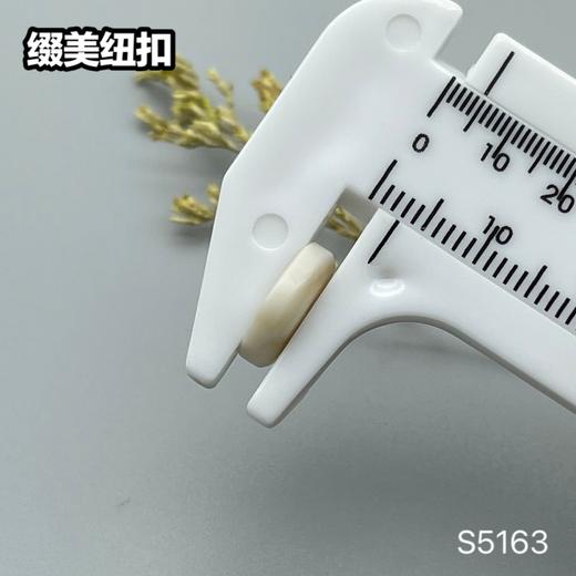 S5163(整包购买) 商品图6