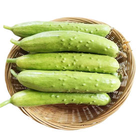 本地白黄瓜 500g