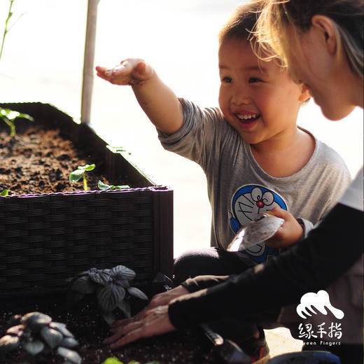 园艺·海藻有机液肥 | 公平贸易 * Organic Seaweed fertilizer | Fair-Trade 商品图3