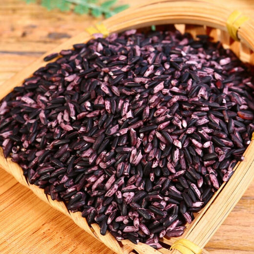 云南特产紫米糯米新米1kg五谷粗粮杂粮饱腹血糯米 商品图4