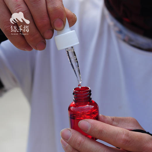 园艺·除虫菊 | 公平贸易 * Pyrethrins | Fair-Trade 商品图1