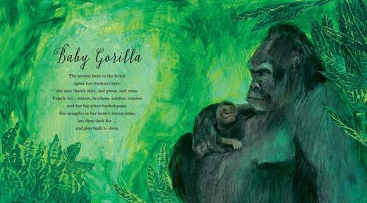 ☆直播专享【宝莉爹书单 3-10岁】 超美英文诗集 A First Book of Animals/Nature/Sea 动物自然海洋主题 英文诗集绘本 商品图5