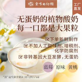 你的体质或许更适合植物酸奶