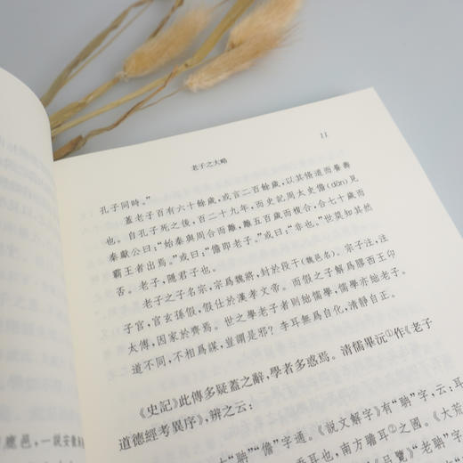 老学八篇 外一种 六点分社 老子学研究 中国传统经典与解释 中国古代哲学经典 陈柱著 李为学 魏凯校注 商品图3