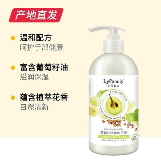 【小琳家族】葡萄籽洗手液 450ml/瓶 厂家直发 商品图1