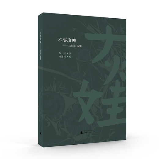 不要玫瑰  灰娃自选集 商品图0