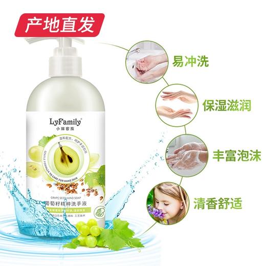 【小琳家族】葡萄籽洗手液 450ml/瓶 厂家直发 商品图3