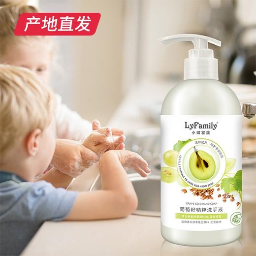【小琳家族】葡萄籽洗手液 450ml/瓶 厂家直发 商品图2