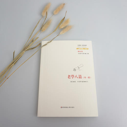 老学八篇 外一种 六点分社 老子学研究 中国传统经典与解释 中国古代哲学经典 陈柱著 李为学 魏凯校注 商品图1