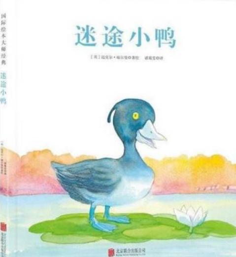 迷途小鸭 商品图0