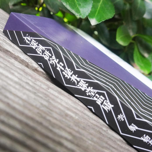 在课例研究中提升课堂品质 嘉定区品质课堂丛书 助学提纲 情境作文 学习规划 整本书阅读 言语活动设计 商品图2