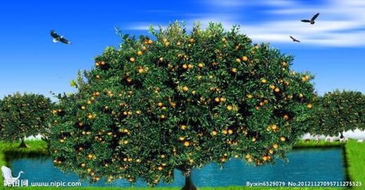 多杀德生科技 商品图2