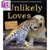 【中商原版】不可能爱 UNLIKELY LOVES 英文原版 Jennifer S Holland 商品缩略图0