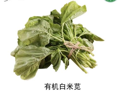 有机白米苋（300g/份） 商品图0