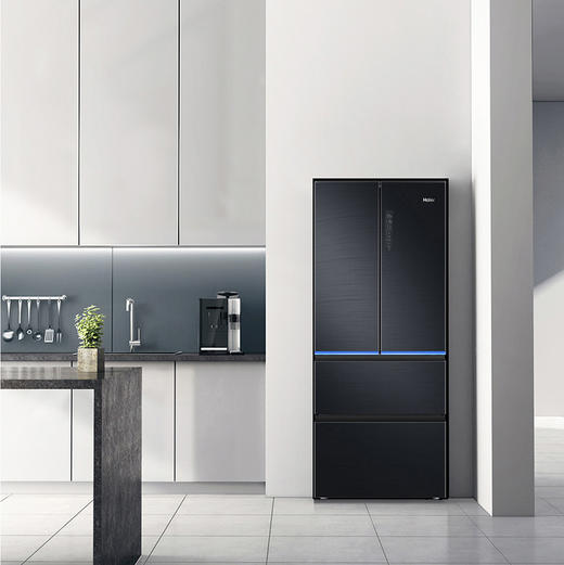 海尔（Haier）冰箱BCD-411WDSKU1 商品图5