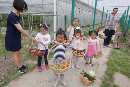 【活动招募】探索葡萄开花、授粉小秘密，还有农家土灶饭、葡萄文创DIY、疏果采摘、萌宠喂养，一天玩转春日所有美好！ 商品图10