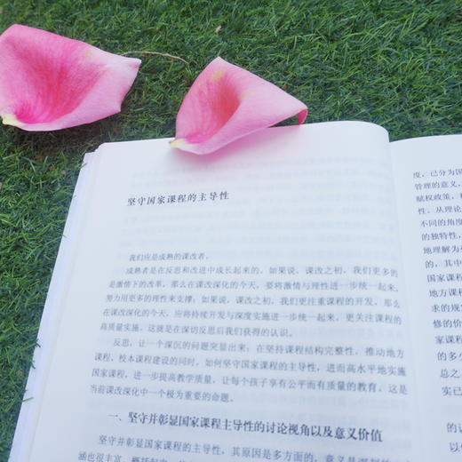 上有灵魂的课 大夏书系 名家谈教育 教师课程 爱国主义教育 未来学校理想形态 语文教学改革 成尚荣著 商品图3