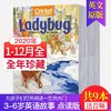 【宝莉爹书单】北美畅销儿童原版杂志Babybug/Ladybug 2020年全年套装合集【赠送I SPY游戏书+趣味贴纸】支持毛毛虫点读，配套家长共读指南 商品缩略图3