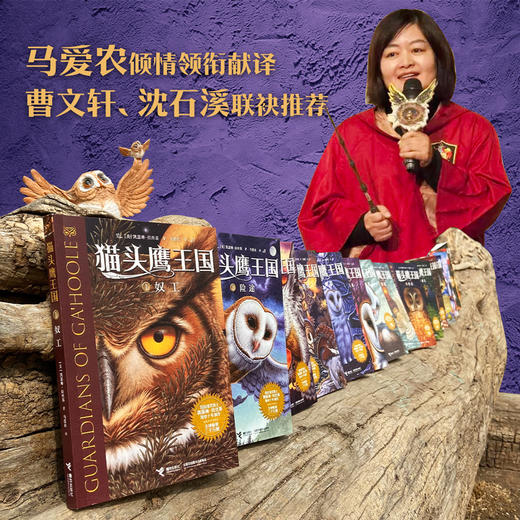 猫头鹰王国 1 奴工 商品图4