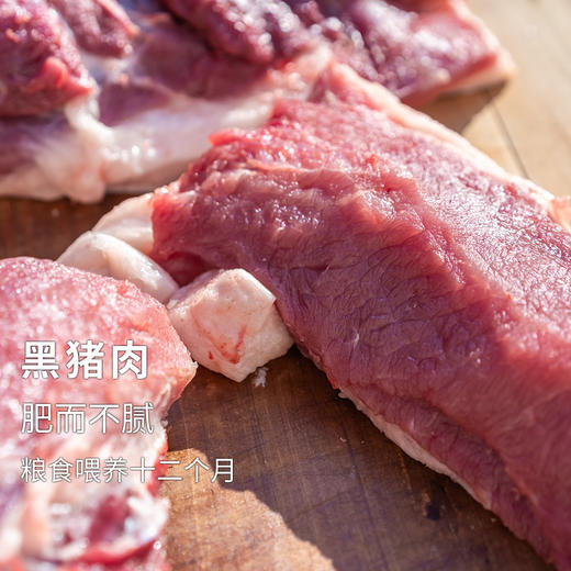黑猪肉粮食喂养十二个月的黑猪肥而不腻有排骨五花肉瘦肉大骨头猪蹄可