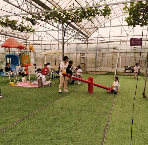 【活动招募】探索葡萄开花、授粉小秘密，还有农家土灶饭、葡萄文创DIY、疏果采摘、萌宠喂养，一天玩转春日所有美好！ 商品图9