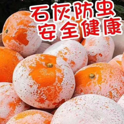 【广西茂谷柑】网红脏脏柑，皮薄肉厚爆汁！黄金酸甜比，带你体验深山“酿”出来的甜蜜~ 商品图13