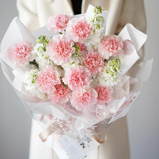 「粉色精灵」-粉色康乃馨花束 商品图2