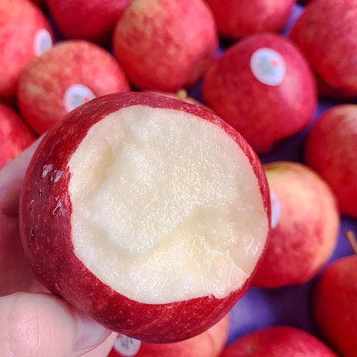 新西兰加力果当季新摘小苹果满满苹果香味酸酸甜甜果肉松脆适合上半年