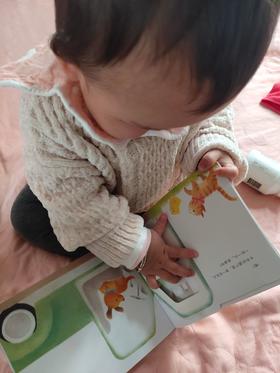 《小鸡球球，藏猫猫》：小朋友体验到了“找”得乐趣，又认识了几种常见动物的特征