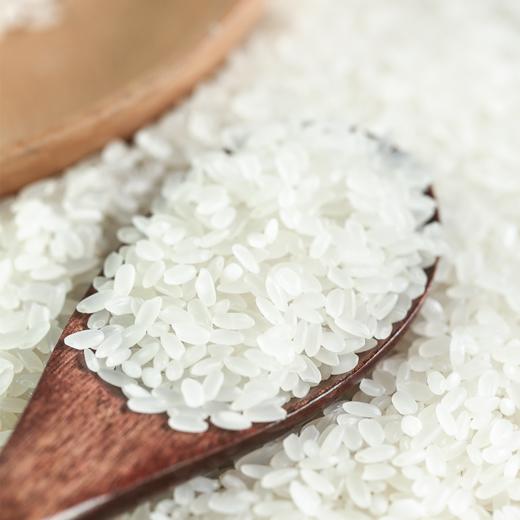 【礼包】夏日一周轻松搭 商品图3