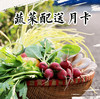 安心蔬菜配送月卡（4次配送）京津冀地区专享 商品缩略图1