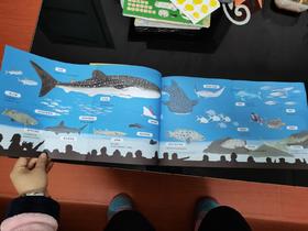 《不可不知的水族馆》：陪孩子实地逛水族馆前的导览攻略