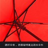 德国欧赛姆Euroschirm风暴伞轻量级碳纤折叠便携防晒防雷伞3019 商品缩略图1