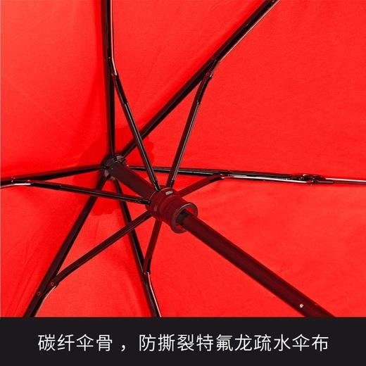 德国欧赛姆Euroschirm风暴伞轻量级碳纤折叠便携防晒防雷伞3019 商品图1