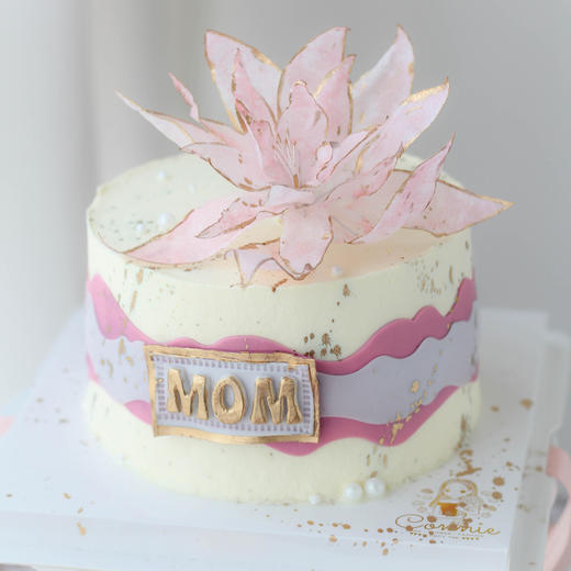 温柔母爱 商品图0