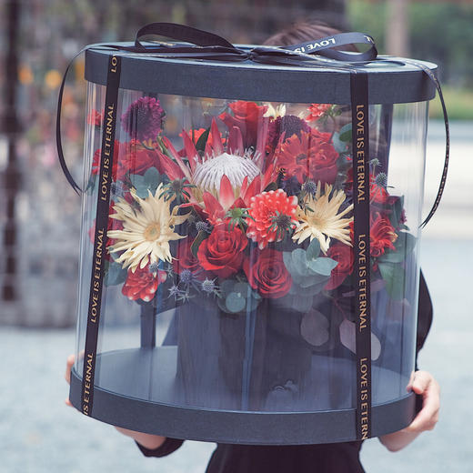 「诗和远方」-巨型霸气大型抱抱透视桶 商品图2