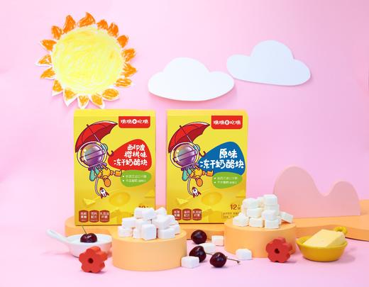 含有益生元 冻干奶酪块 商品图0