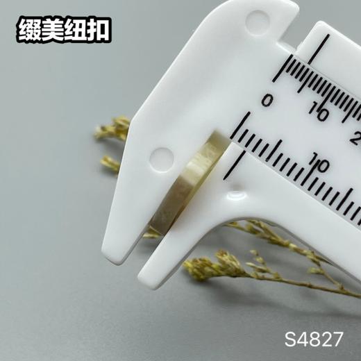 S4827(整包购买) 商品图7