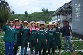 #武夷山DAY1 溪畔肉桂的茶厂