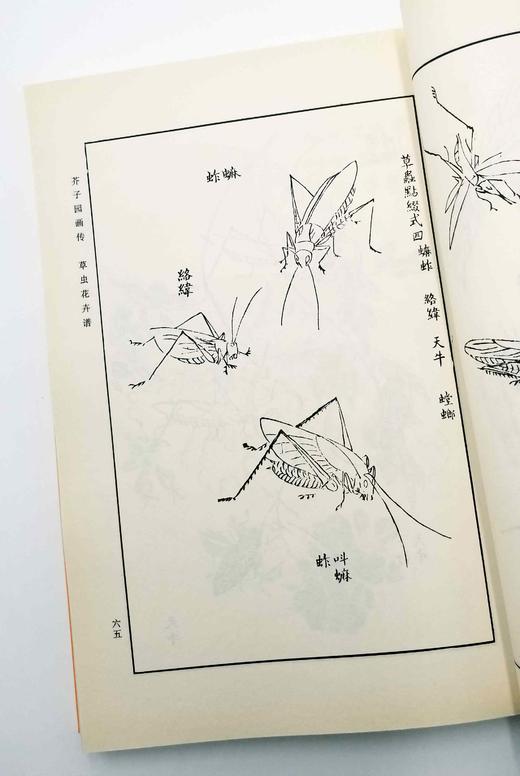 芥子园画传 商品图8