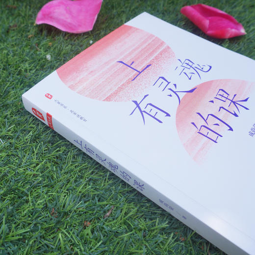 上有灵魂的课 大夏书系 名家谈教育 教师课程 爱国主义教育 未来学校理想形态 语文教学改革 成尚荣著 商品图2