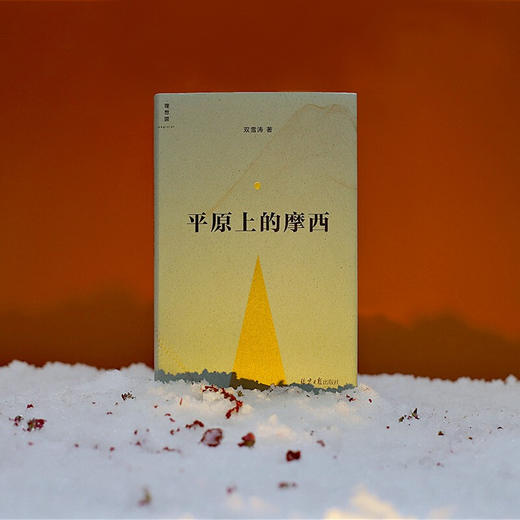 平原上的摩西 双雪涛著 周冬雨刘昊然电影原著 刺杀小说家飞行家猎人聋哑时代翅鬼 中国悬疑推理小说 商品图1