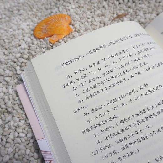 走向语文素养的阅读教学 大夏书系 阅读决定发展高度 教给学生带得走的能力 教学解读 教学场景 教学思辨 商品图3