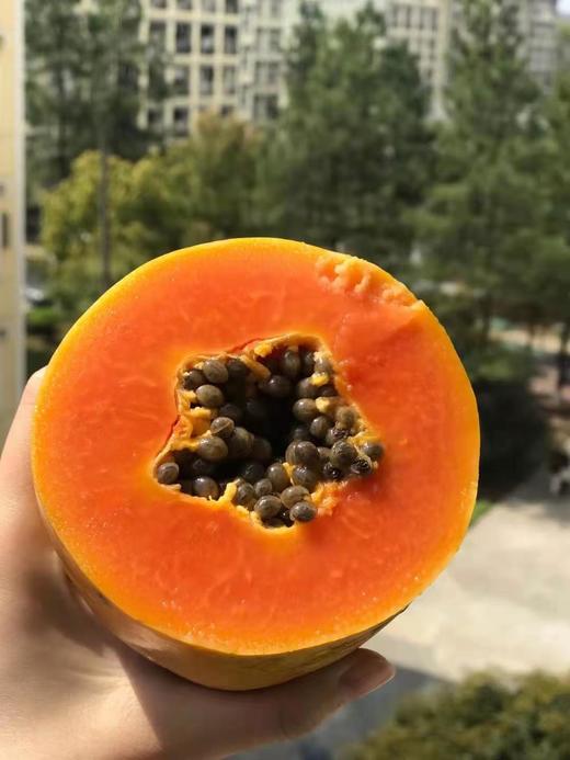 【海南"冰糖木瓜"】5斤装/3颗!