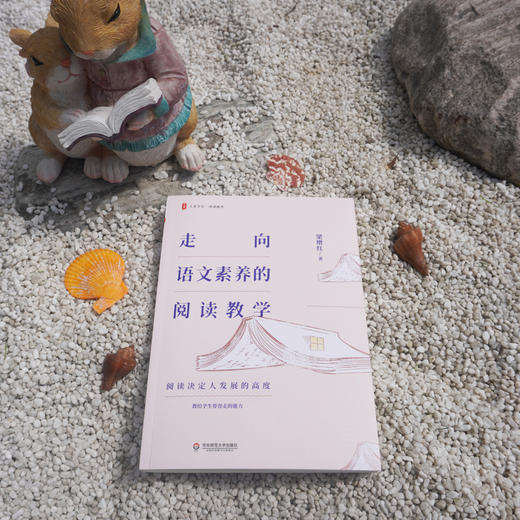 走向语文素养的阅读教学 大夏书系 阅读决定发展高度 教给学生带得走的能力 教学解读 教学场景 教学思辨 商品图1