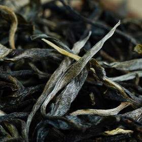 9月27日上午9点2021年春茶买1斤送1斤江城云南普洱生茶茶叶大树纯料散茶