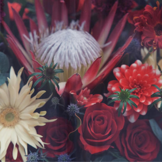 「诗和远方」-巨型霸气大型抱抱透视桶 商品图3